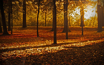 Landscape, Nature HD wallpaper