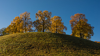 Nature, Trees, Grass, Sky, Hill HD wallpaper