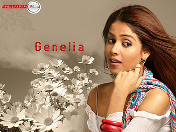 sweeet genelia, genelia, bommarillu, cute, angel, herione HD wallpaper