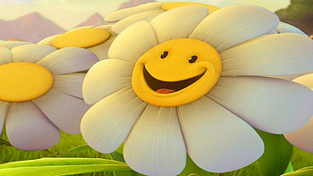 Funny, Plants, Flowers, Camomile HD wallpaper