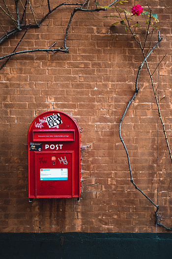 Miscellanea, Miscellaneous, Wall, Box, Brick Wall, Ivy, Mail, Post Office HD phone wallpaper