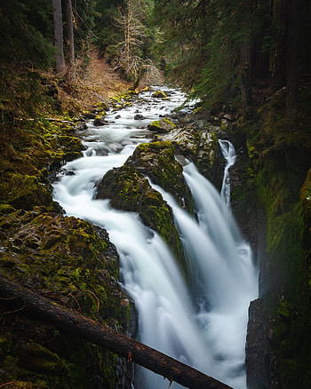 Stream, water current, waterfall, forest, nature HD phone wallpaper