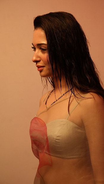 Tamanna Bhatia, saree beauty, bollywood actress HD phone wallpaper