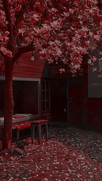 Red Aesthetic, Flowers Tree HD phone wallpaper