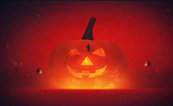 Holidays, Halloween, Pumpkin, Shine, Light, Holiday, Spider HD wallpaper