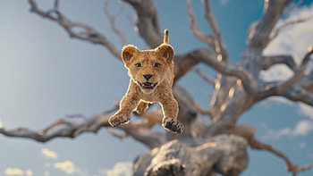 Leap of Mufasa: The Lion King, movie, Mufasa: The Lion King HD wallpaper