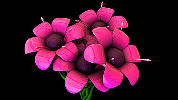 Computer rose, rose, design, abstract, flower, lila, computer, graphic HD wallpaper