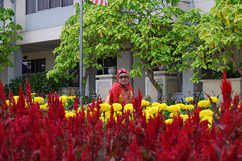 women behind the flower, women, smr, skudal, flower HD wallpaper