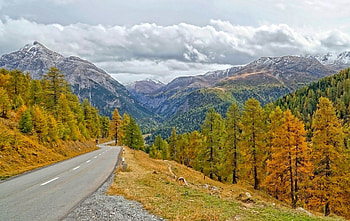 Road through Mountain Forest in Fall, Roads, Fall, Nature, Forests, Mountains, Autumn HD wallpaper