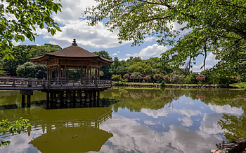 Ukimido Temple, nara, japanese, temple, japan, garden, spring, shrine, lake, park, scenery, nature HD wallpaper