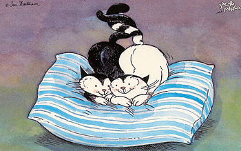 Cats, Love, Couple, Pair, Pillow, Fun HD wallpaper