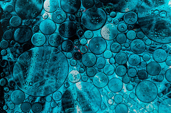 Bubbles, Macro, Liquid, Oil, Butter HD wallpaper