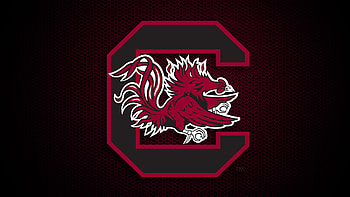 Gamecocks, Winning against Missouri, Sports victory, Competitive spirit HD wallpaper
