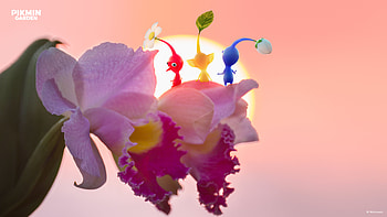 Pikmin 4 — Blossom Dawn: Ultra, Pikmin 4 HD wallpaper