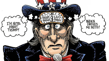 Sam, my president, fraud election, president, trump HD wallpaper