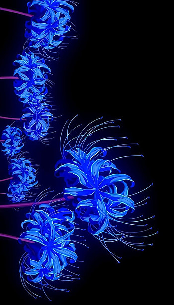 Blue spider lily, no, slayer, yaiba, demon, anime HD phone wallpaper
