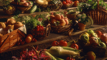 thanksgiving HD wallpaper