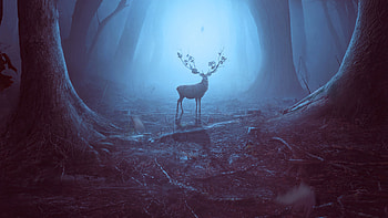 Into The Woods Reindeer , reindeer, woods, forest, artist, artwork, digital-art, deviantart HD wallpaper