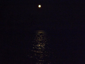 haverst moon, night, moon, sky, water, harvest moon HD wallpaper