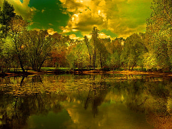Autumn lake, golden, lake, reflection, clouds, trees, autumn, sky, water, pond HD wallpaper