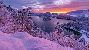 Lake Bled in winter, beautiful, Slovenia, lake, island, frost, purple, Bled, snow, view, trees, sky, sunset HD wallpaper