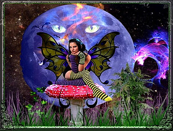 STORY BEHIDE , story, , book HD wallpaper