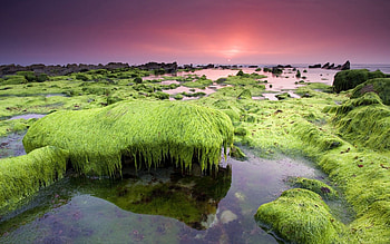 Nature, Rivers, Grass, Sky, Sea, Shore, Bank HD wallpaper