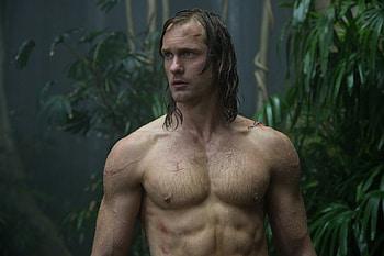 Alexander Skarsgard, High definition , Background , Famous actor HD wallpaper