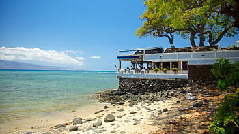 Reisetipps, Lahaina 2022, Entdecken, Expedia HD wallpaper
