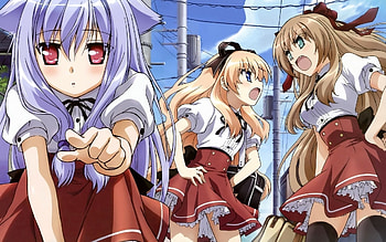 Anime - Mayoi Neko Overrun! Mayoi Neko Overun Mayoi Bakgrund HD wallpaper
