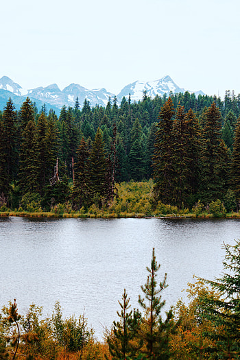 Landscape, Nature, Rivers, Trees, Mountains, Forest HD phone wallpaper