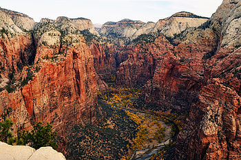 Zion National Park, , Bio , Detailed beauty HD wallpaper