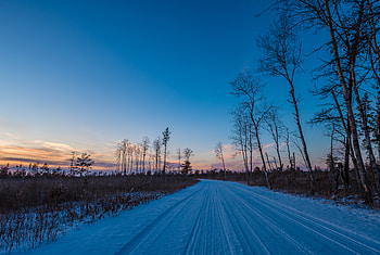 Winter, Nature, Trees, Sky, Horizon, Road HD wallpaper