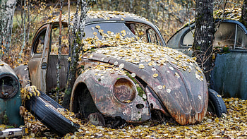 Volkswagen Beetle, abandoned, beetle, volkswagen, car HD wallpaper