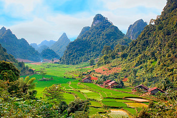 Vietnam travels, , Village, Rice fields HD wallpaper