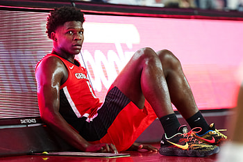 Anthony Edwards, Fit with Atlanta Hawks, Promising future, Synergistic potential HD wallpaper