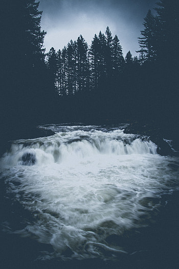 Nature, Water, Rivers, Trees, Dark HD phone wallpaper