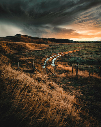 Nature, Road, Field, Hills HD phone wallpaper