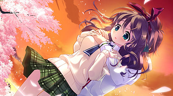 Shino Hanamadoka, pochi to goshujin-sama, orange, anime girl, wind, pink, anime, anime school girl, love, sakura, cherry blossom, sky, sunset HD wallpaper