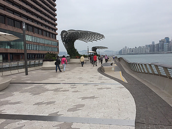Garden of Stars, Hong Kong, Travel reviews, Practical guide HD wallpaper