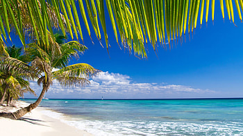Caribbean beach , Top HD wallpaper