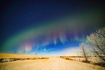 Alberta Farm Night Sky, night, sky, nature HD wallpaper