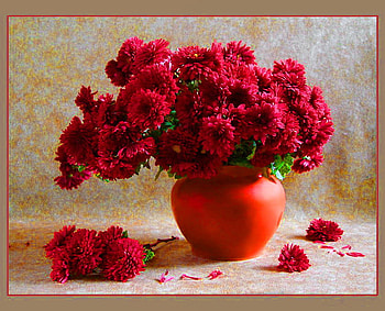 Still life in red, vase, beautiful, nice, still life, pretty, red, flowers, lovely, harmony HD wallpaper
