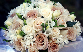 Flowers, Roses, Bouquet, Composition, sia, sias HD wallpaper