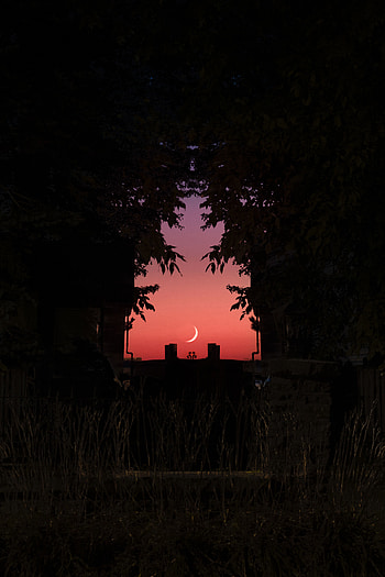 Sky, Twilight, Moon, Dark, Branches, Dusk HD phone wallpaper