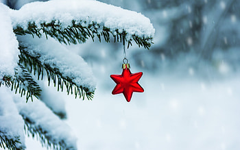 Merry Christmas!, star, winter, craciun, christmas, red, iarna, snow, new year HD wallpaper