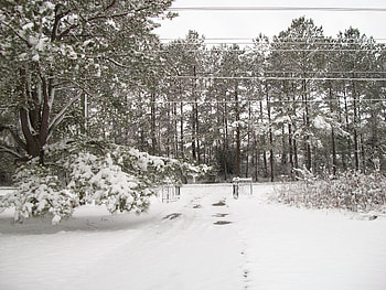 morning-snow, winter, nature, snow HD wallpaper