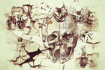 Abstract, Davinci, Kreatiff, Artifacts, Creaff HD wallpaper