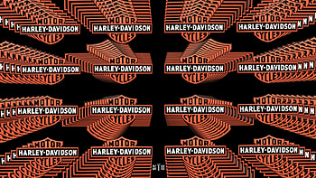 Flying Harley Logo, Harley Davidson Emblem, Harley Davidson Background, Harley Davidson Motor Cycles, Harley Davidson Logo, Harley Davidson, Harley Davidson , Harley Davidson Motor Cycle HD wallpaper