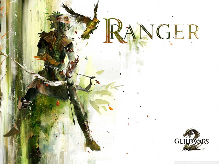 Ranger, archer, game, dar, warrior HD wallpaper